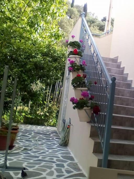 Elen'S House Apartment Syvota Exterior photo